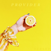 Provider - Single