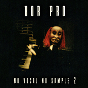 No Vocal No Sample (2)