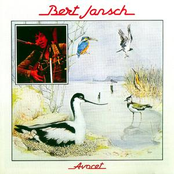 Lapwing by Bert Jansch