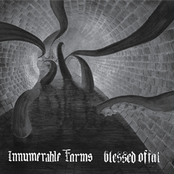 Innumerable Forms/Blessed Offal