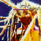 Josh Wink: Higher State of Consciousness