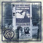 Der Freie Vogel Fängt Den Wurm