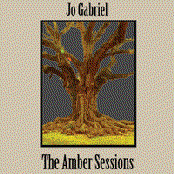The Amber Sessions