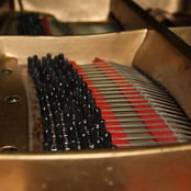 Salt & Pepper (Chapitre II)