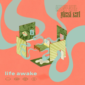 Life Awake