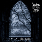 I miss the rain
