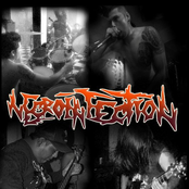 Necroinfection