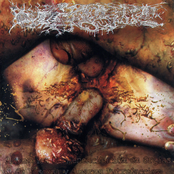 Aromatica Germenexcitacion En Orgias De Viscosa Y Amarga Putrefacion