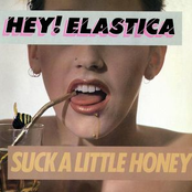 Suck A Little Honey