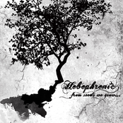 From Seeds We Grow (2012)