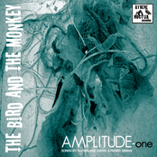 AMPLITUDE-one