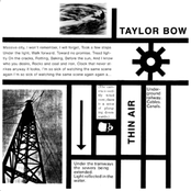 Face And Features Full by Taylor Bow