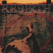 Rebirth: Crucible