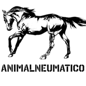 Ritmos Apócrifos