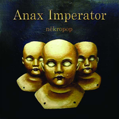 Im Nebel by Anax Imperator