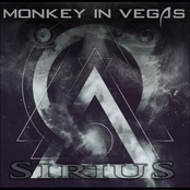 Monkey In Vegas