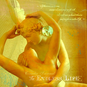 The Endless Life