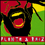 Planta & Raiz