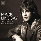 Something Big by Mark Lindsay