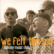 We Felt The Sun