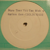 More Than You Can Wish