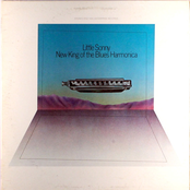 New King of Blues Harmonica