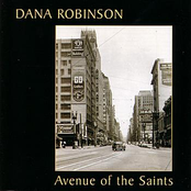 Avenue Of The Saints by Dana Robinson