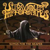 Ultraviolet Hippopotamus: Songs for the Reaper