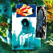 Eating Thyroid : 9 Ways To Gobble Your Glands