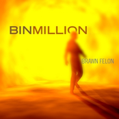 Brawn Felon