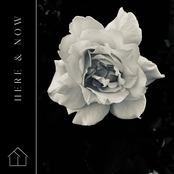 Here & Now