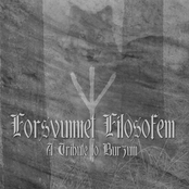 Werther: Forsvunnet Filosofem - A Tribute to Burzum