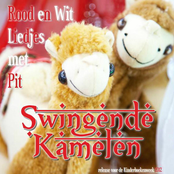 Swingende Kamelen