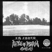 Fleas and Lice/Battle of Disarm split