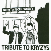 Dolina Lalek - Tribute To Kryzys vol. 1
