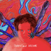 TARANTULA DREAMS