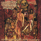 Frenzied Evisceration Of Viscous Excrescence