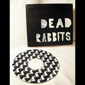 The Rabbit That Roared