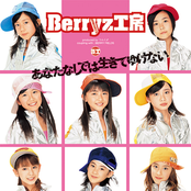 Berry Fields by Berryz工房