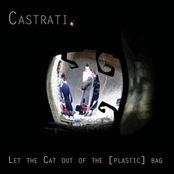 Let The Cat Out Of The [Plastic] Bag