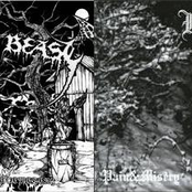 Laws of the Cemetery / Pain & Misery