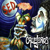 Sed by Callejeros