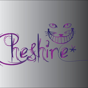 Cheshire*