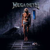 Skin O' My Teeth by Megadeth