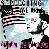 Thrift Store Girl by Screeching Weasel