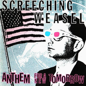 Cancer In My Body by Screeching Weasel