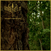 These Winds Know My Name