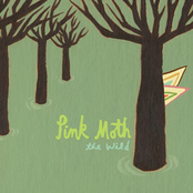 Lucky Numbers by Pink Moth
