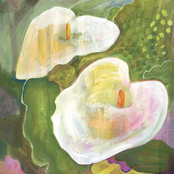 Mae Powell: Making Room for the Light