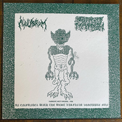 An Encounter with the West Virginia Vegetable Man